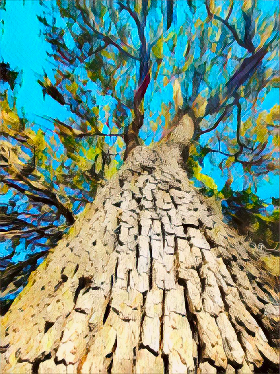 What's in a Chair? Meaning in Simplicity Admiring Multipotentiality