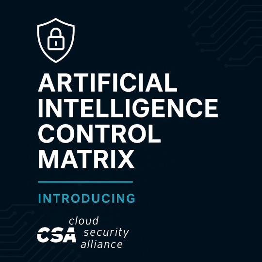 OWASP AI Maturity Assessment Explained: CISO-Level Insights ...