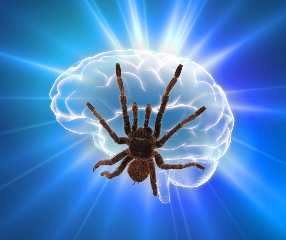 The Untouched Light: Overcoming Lust and Fear by Manuel Fernandez The Untouched Light: Overcoming Lust and Fear by Manuel Fernandez