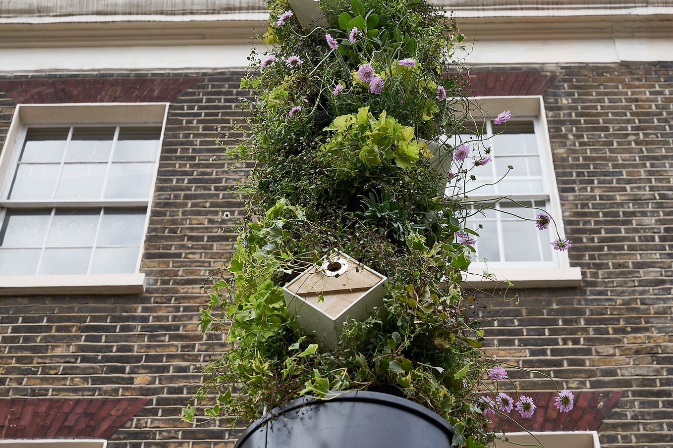 Retrofitted “green” living lamp posts in London reclaim water and run on solar power