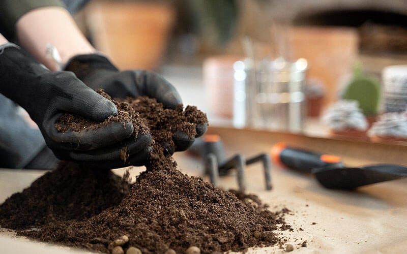 Site Contamination Testing: A Comprehensive Guide for 2024  by Test 
