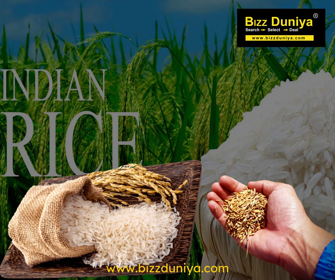 Premium Quality Top 10 NonBasmati Rice Exporter Kumar Pradeep Medium