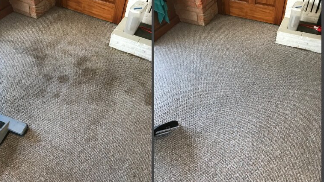 Make Carpet Cleaning Easier, Faster and Fun!! by Carpet Cleaning By