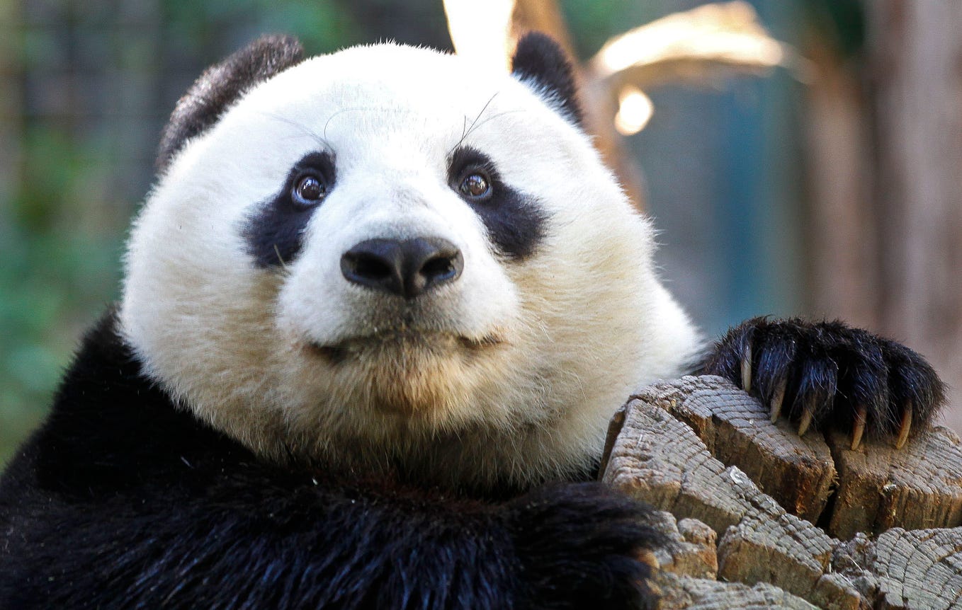 Running MATLAB in Python. MATLAB and Python are two of most… | by ...