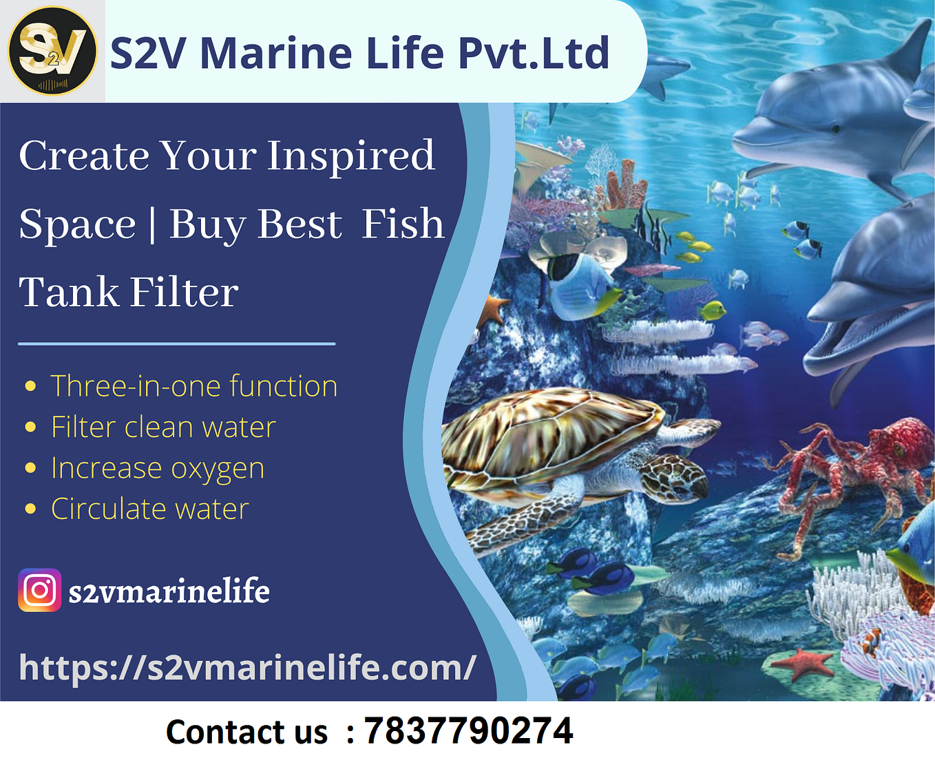 How To Choose The Right Filter System For Your Aquarium By