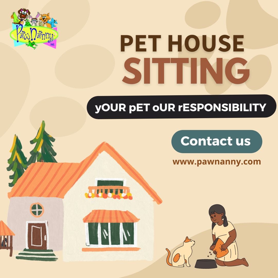 Tips for Choosing the Perfect Overnight Stay Facility for Your Pet by