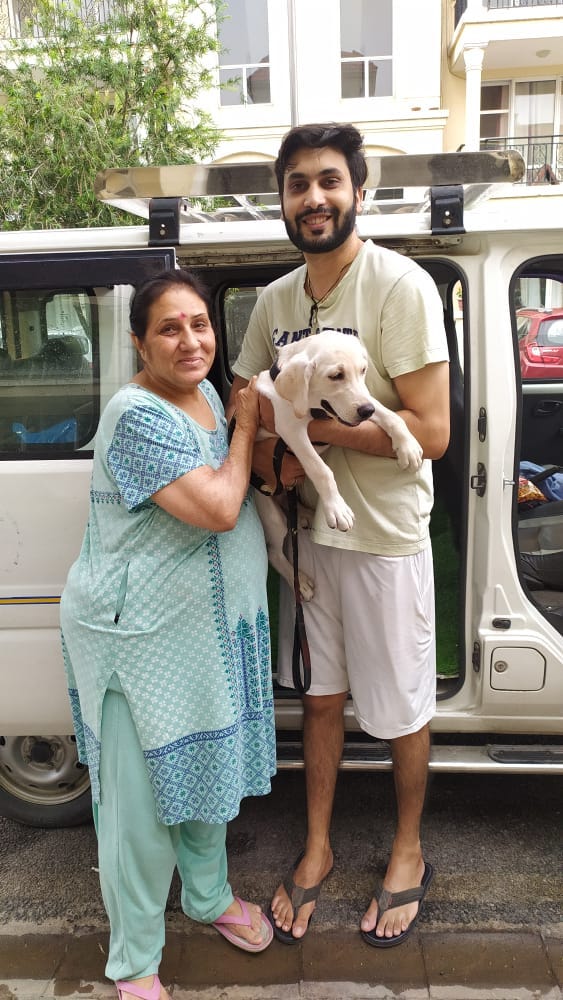 Pet Transport Service in India Akshitak Medium