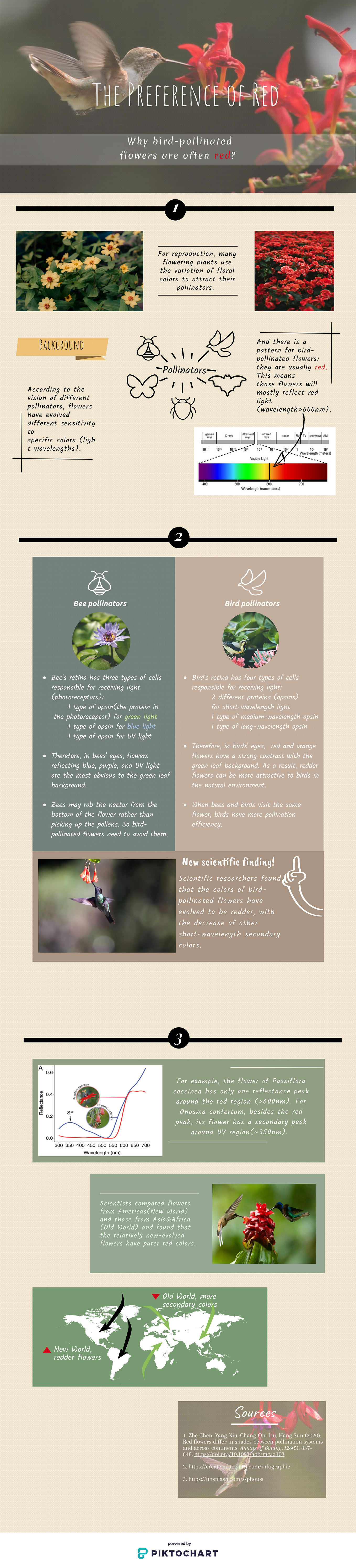 What are the Different Adaptations Shown by Bird Pollinated Flowers: Key Traits Explained