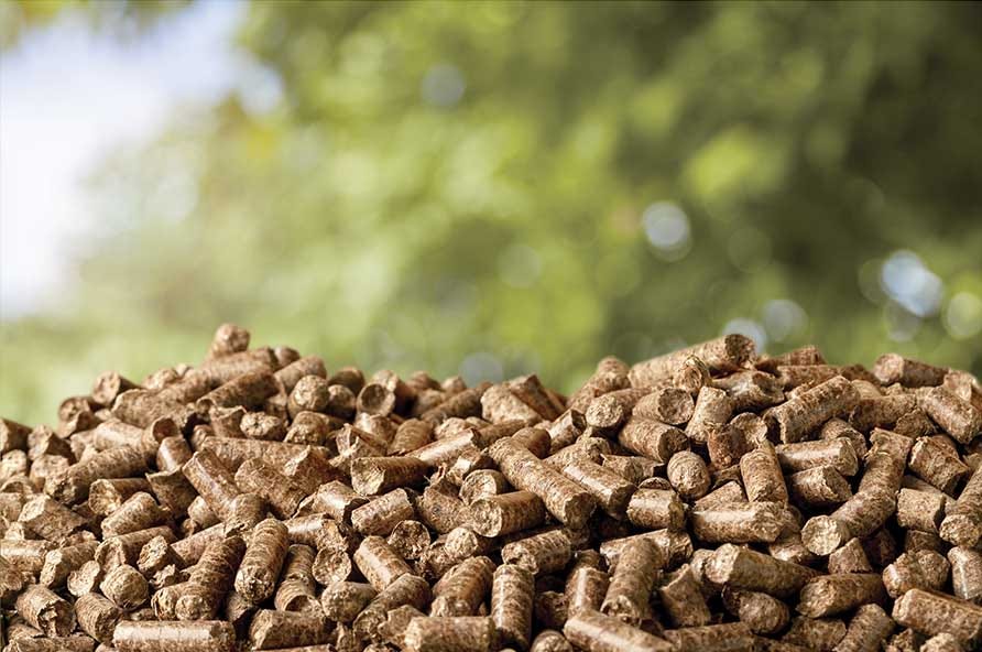 Get the reason to buy Hardwood Charcoal, Pellets De Madeira, and Pini