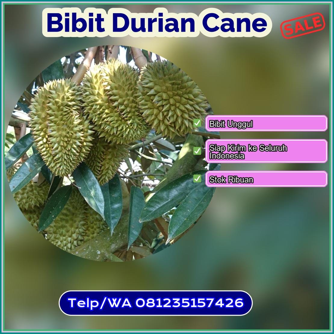 1-bibit-tin-acak-kota-bekasi-by-marlino-kemuning-medium