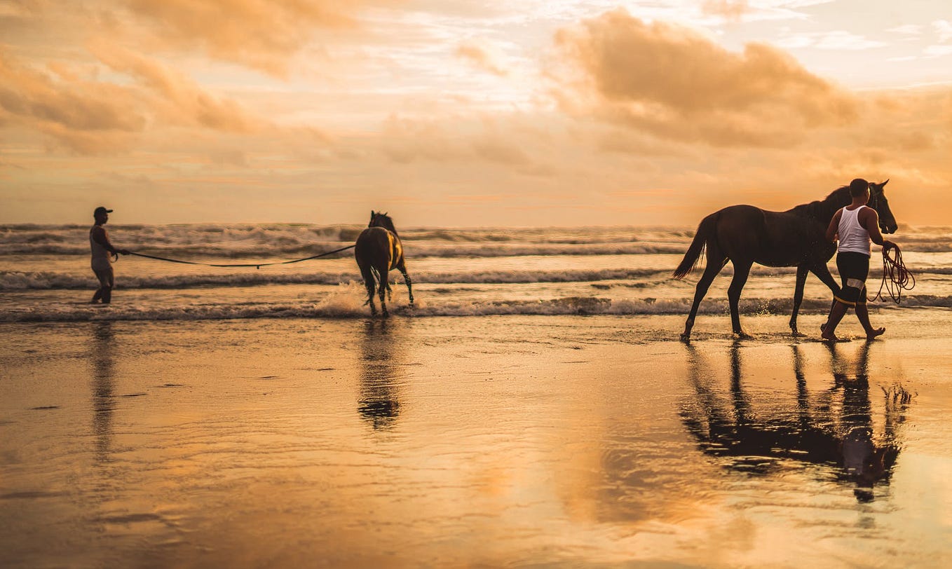 The Pretence of Data. What does smart stand for in Smart… by Nicolas