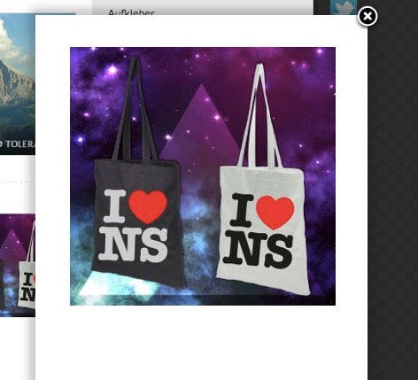 Die suspekten Informationsquellen der FPÖ