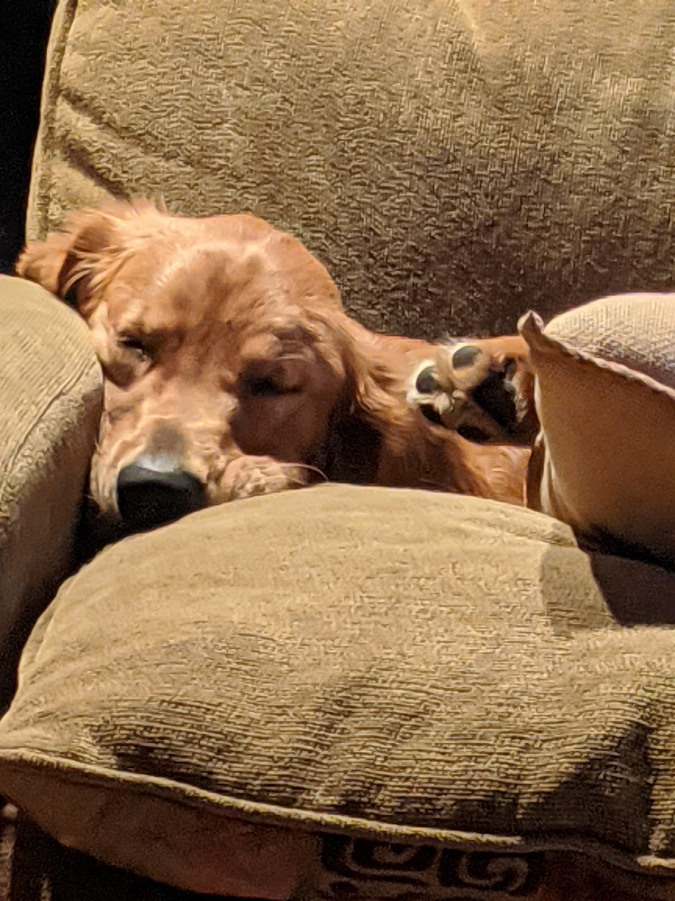 I Had Acne for 36 Years.. Then, I found my cure. by Dana Zwaska Aug