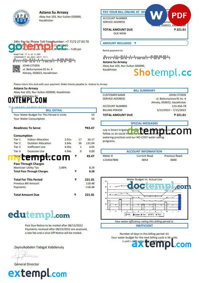 Japanese Tokyo Electric Power Company (TEPCO) electricity utility bill
