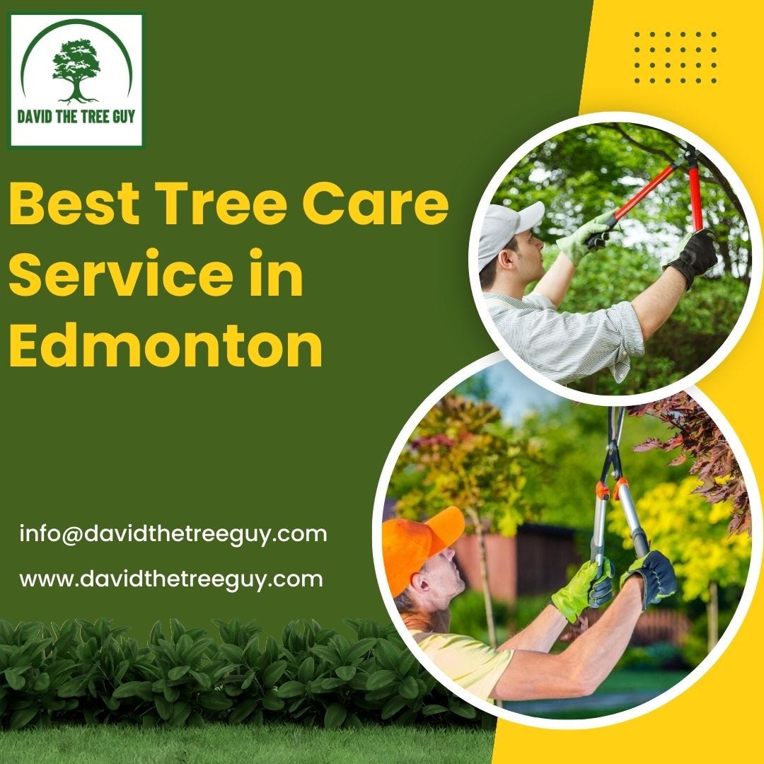 Best Arborist in Edmonton David The Tree Guy Medium
