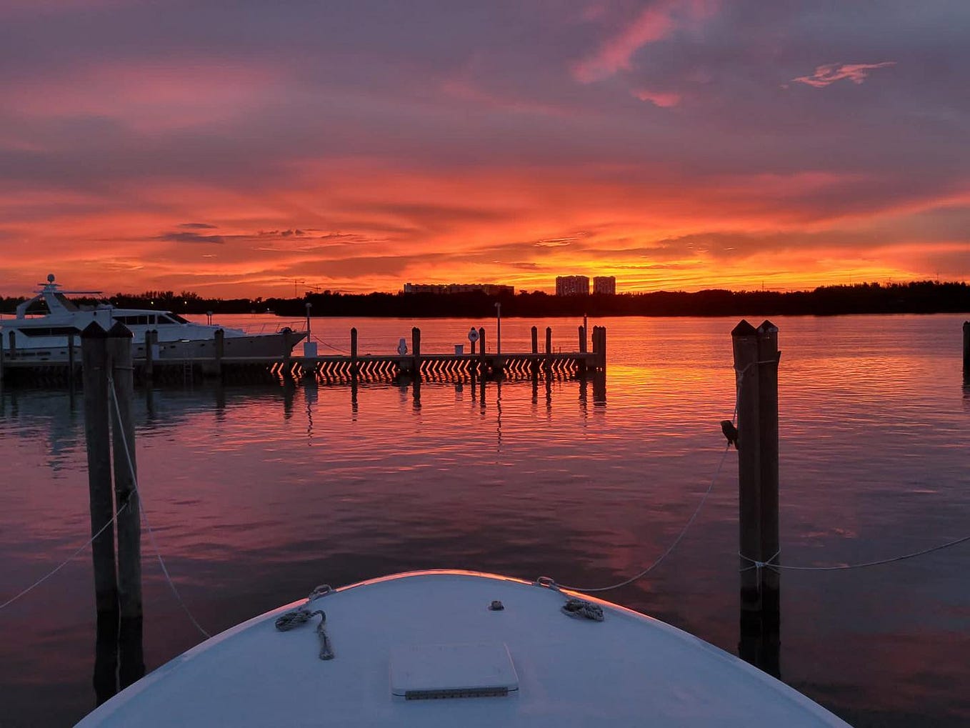 Experience Unforgettable Miami Beach Fishing Charters - Sea Cross Miami