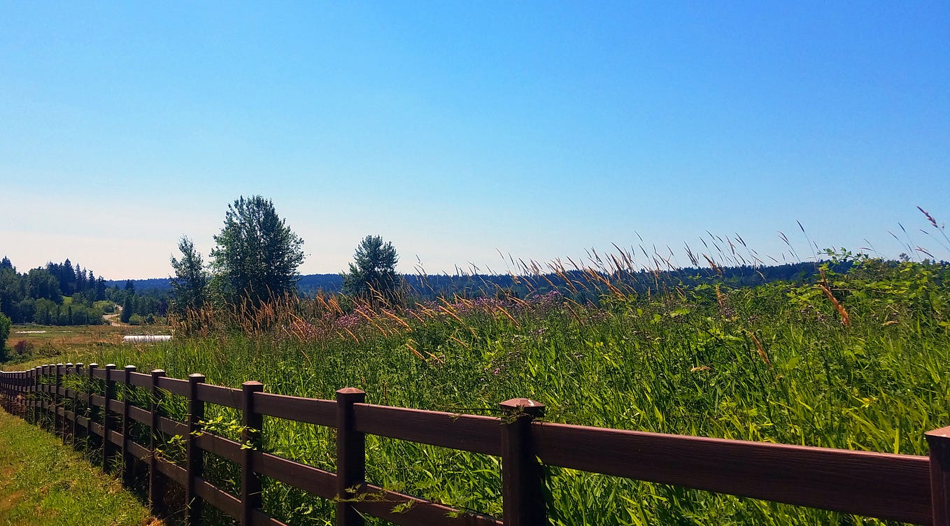 Tapestries of Blazing Starbirth, The Pillars of Creation by Jennifer Matthewson Medium