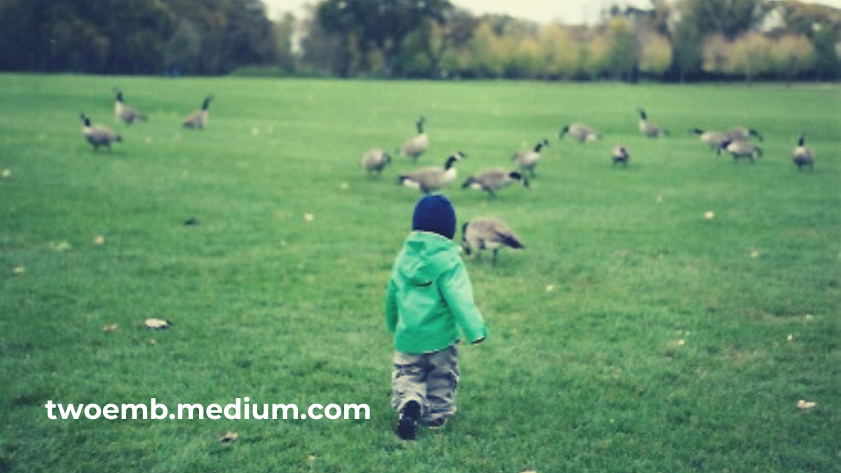 I’m Obsessed With Planners. Scissors. Paper. Planner. by Lana Graham