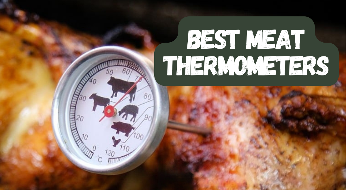 Where to Put a Thermometer in a Turkey 🍗 for Accurate Temperature Readings