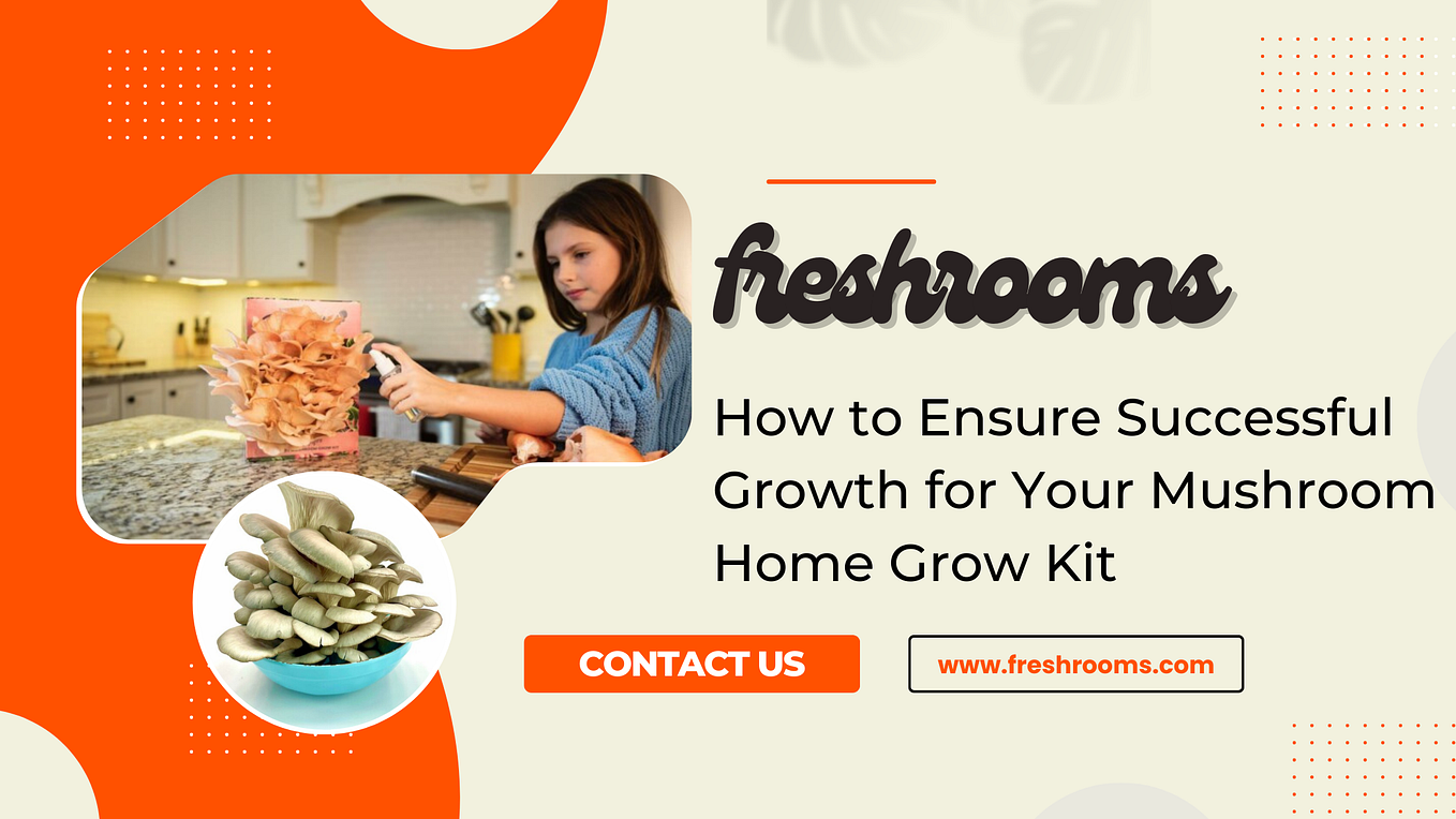 Can You Reuse a Mushroom Home Grow Kit, and If So, How? by Freshrooms