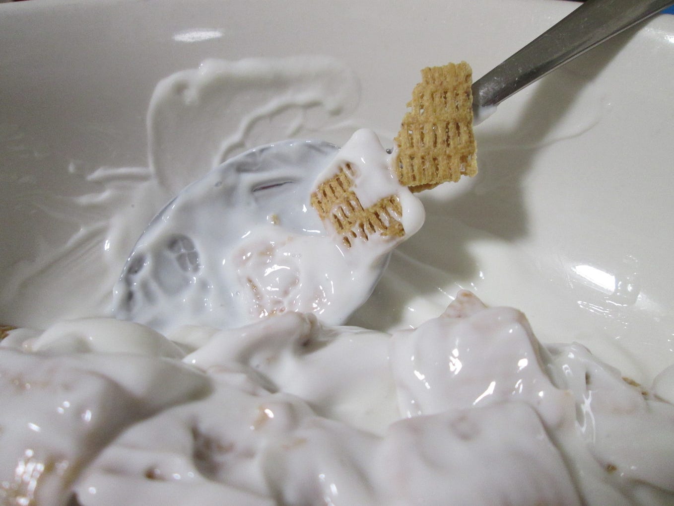 Cereal and Yogurt