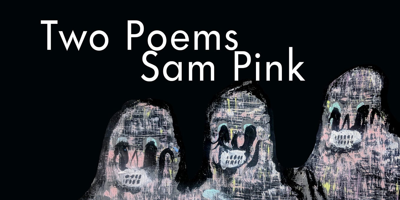 Two Poems by Sam Pink