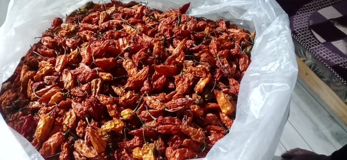 kali-mirch-price-in-india-what-is-price-of-black-pepper-by-nik