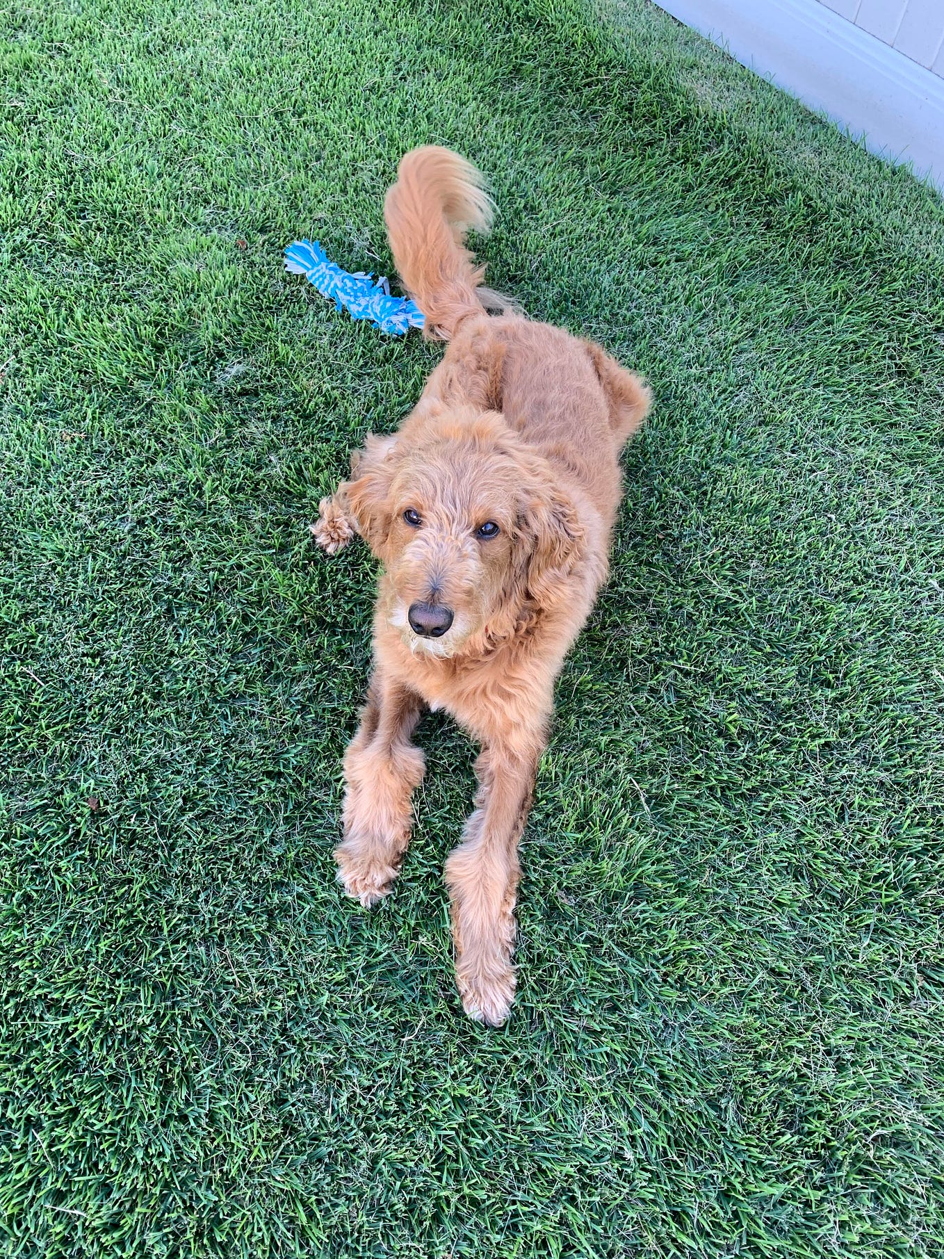 The Gift of Time. What is the best gift you have ever… by Lilly Drake