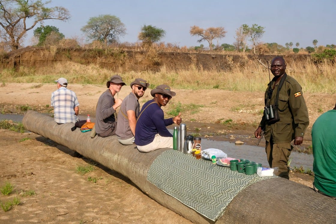 Discover the Untamed Beauty of an African Wildlife Safari in Uganda ...