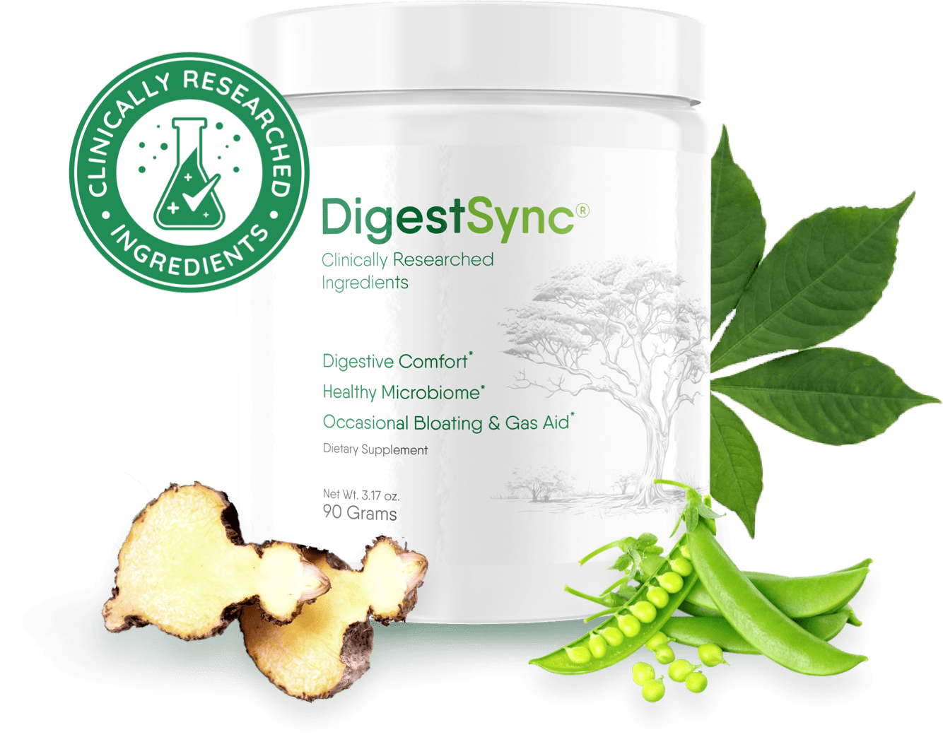 holi digestive powder