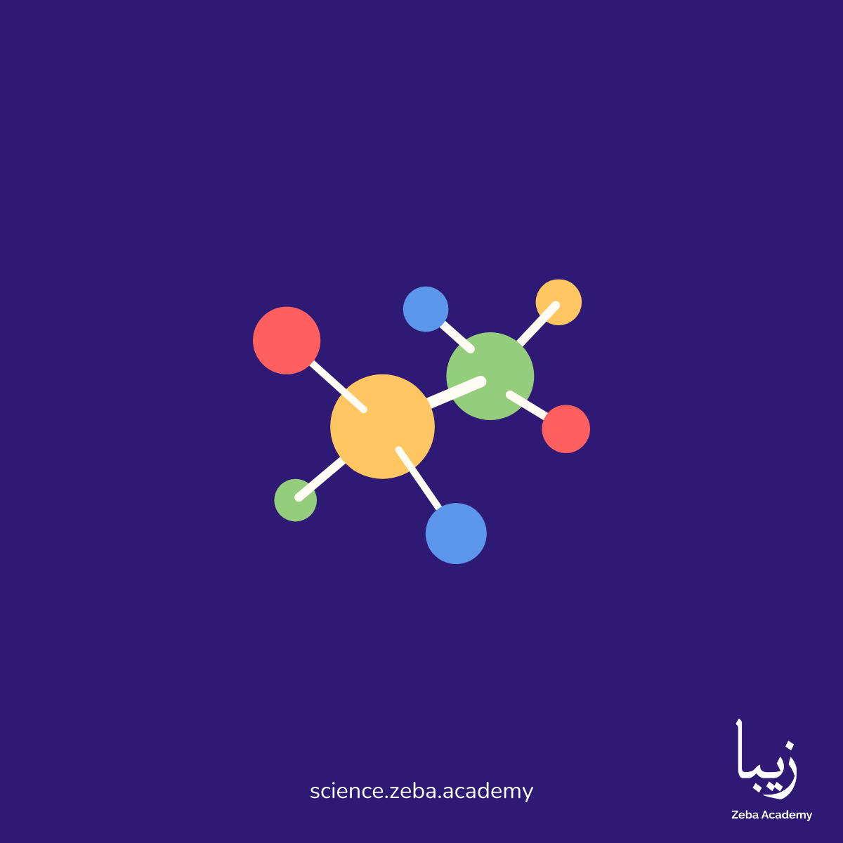 Unraveling the Myths: Reimagining the Appearance of Famous Prehistoric ...