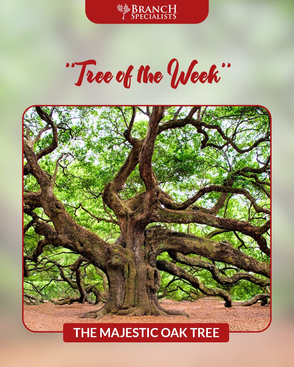 Tree Training Everything You Should Know About It! by Branch