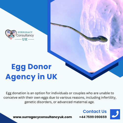 How Does Surrogacy Work UK? Surrogacy Consultancy UK Medium