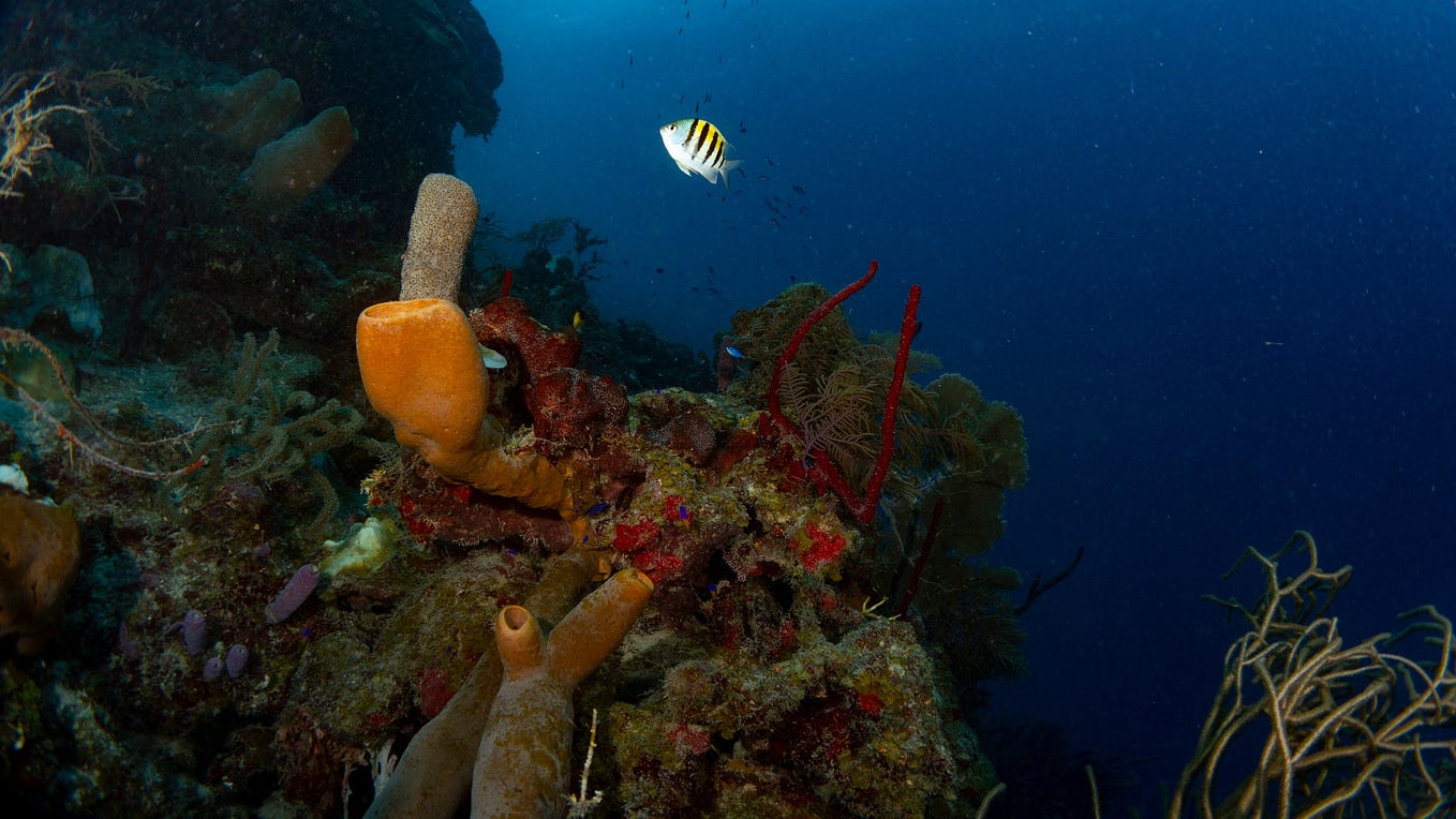 Deep Connections, Deeper Risks (Part 1): As if the Climate Crisis Wasn ...