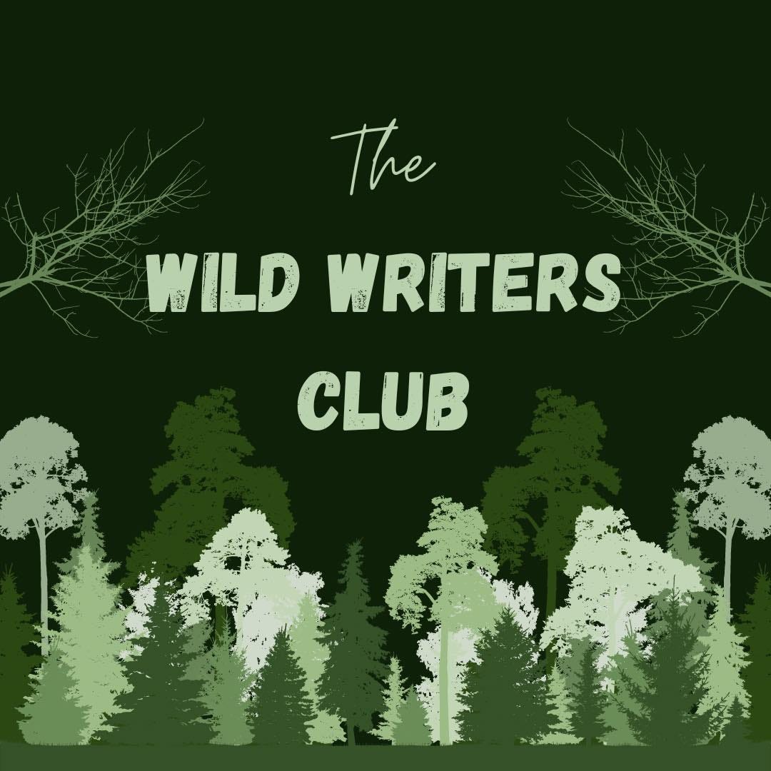 The Convent Wall Short Horror Story By Paul Crabbe The Wild the-convent-wall-short-horror-story-by-paul-crabbe-the-wild