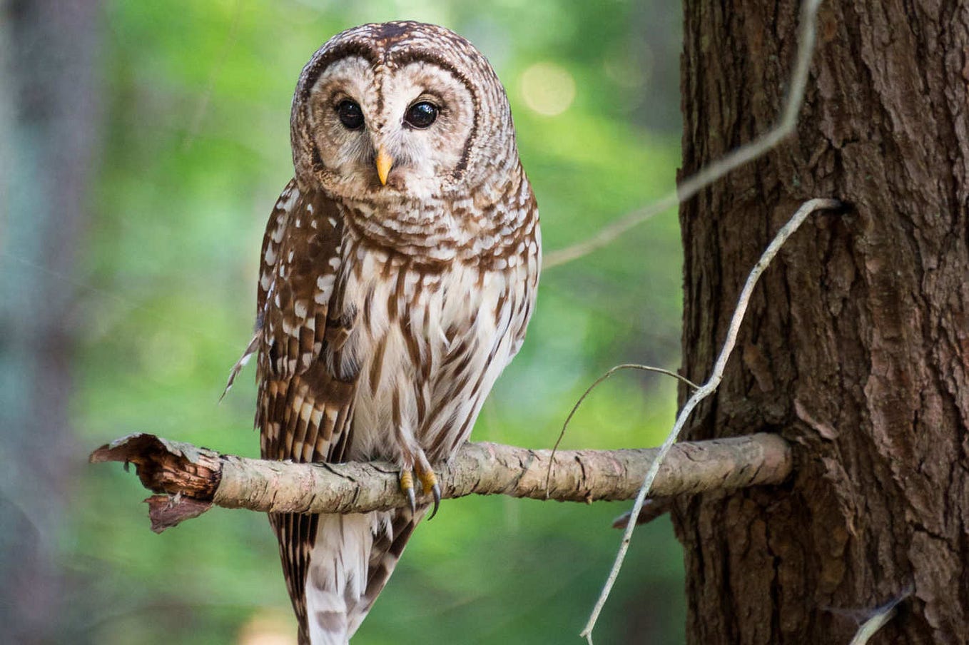 Peter Drucker: 15 Uncommonly Wise Observations About Business