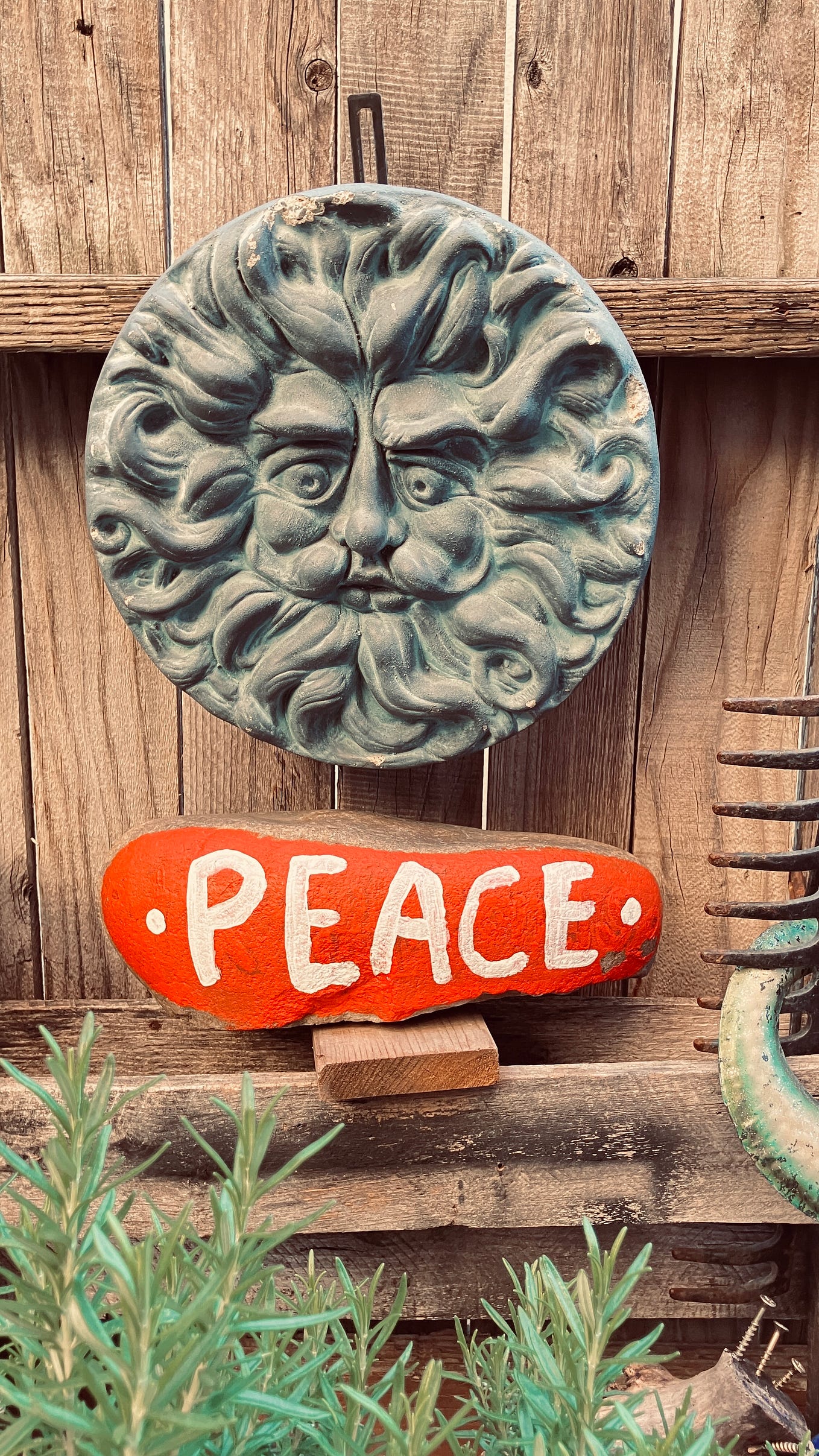 This is incredible. The photos are stunning. While I did take a