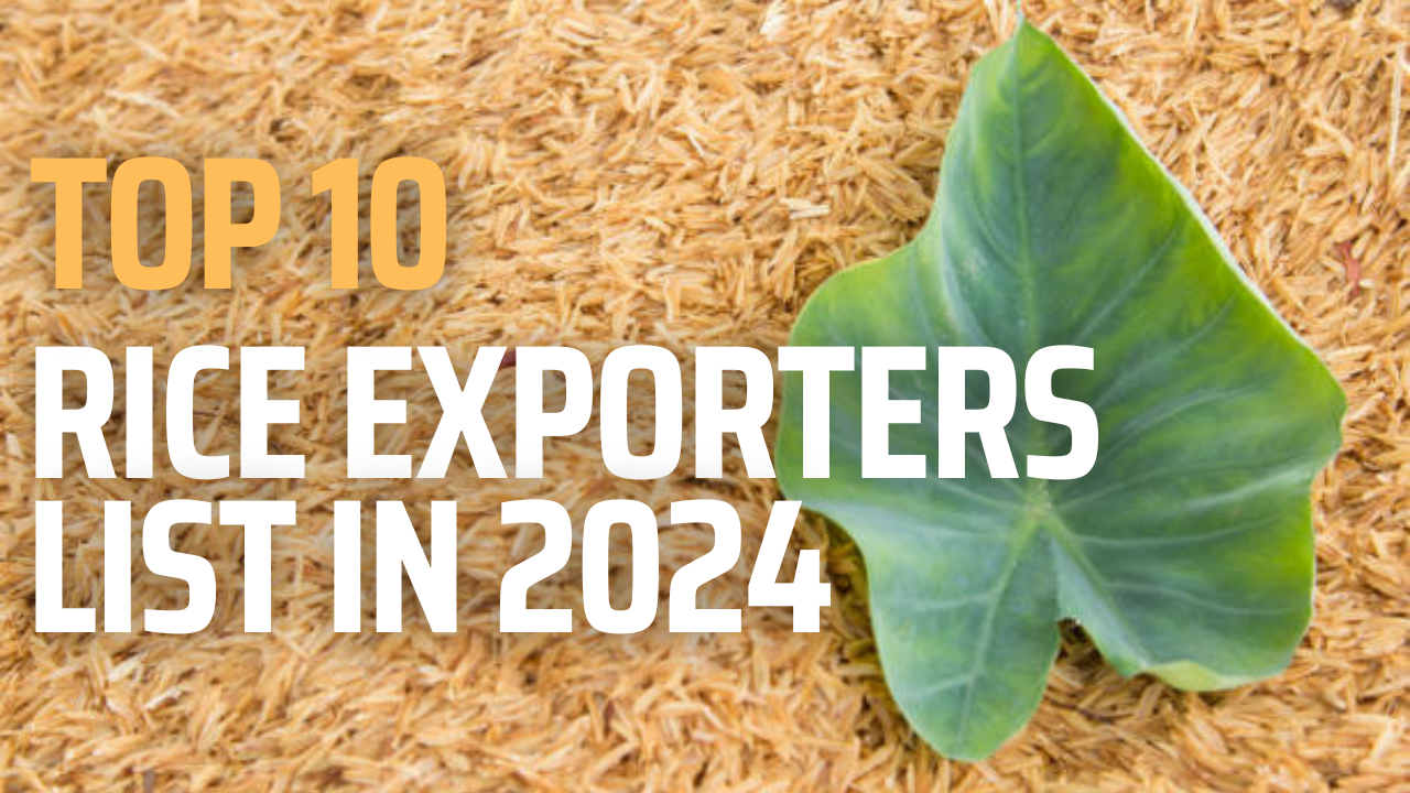 Top 10 Brown Rice Exporters in the World 2025 by Farman Rind Jan