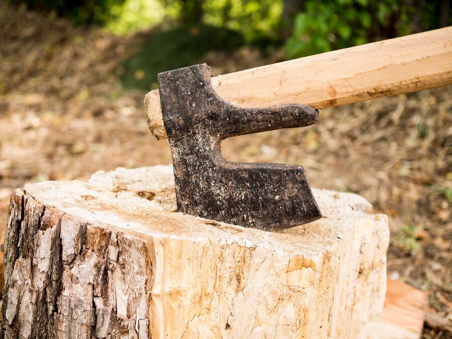 Aged Forest Mulch | Dynamic Tree Solutions - Dynamic Tree Solutions ...