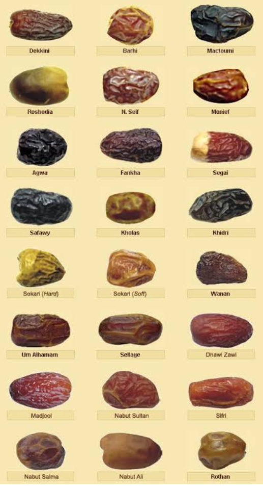 School Life memory. School Life memory | by Mishal Haider | Medium