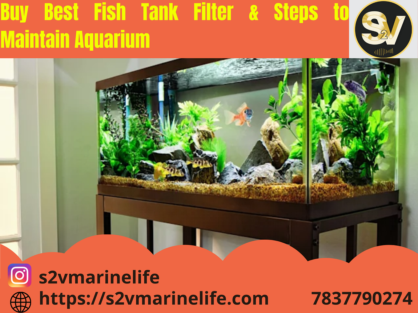 Why Fish Keeping Is Great Hobby Best Internal Aquarium Filter For Your Fish by S2Vmarinelife