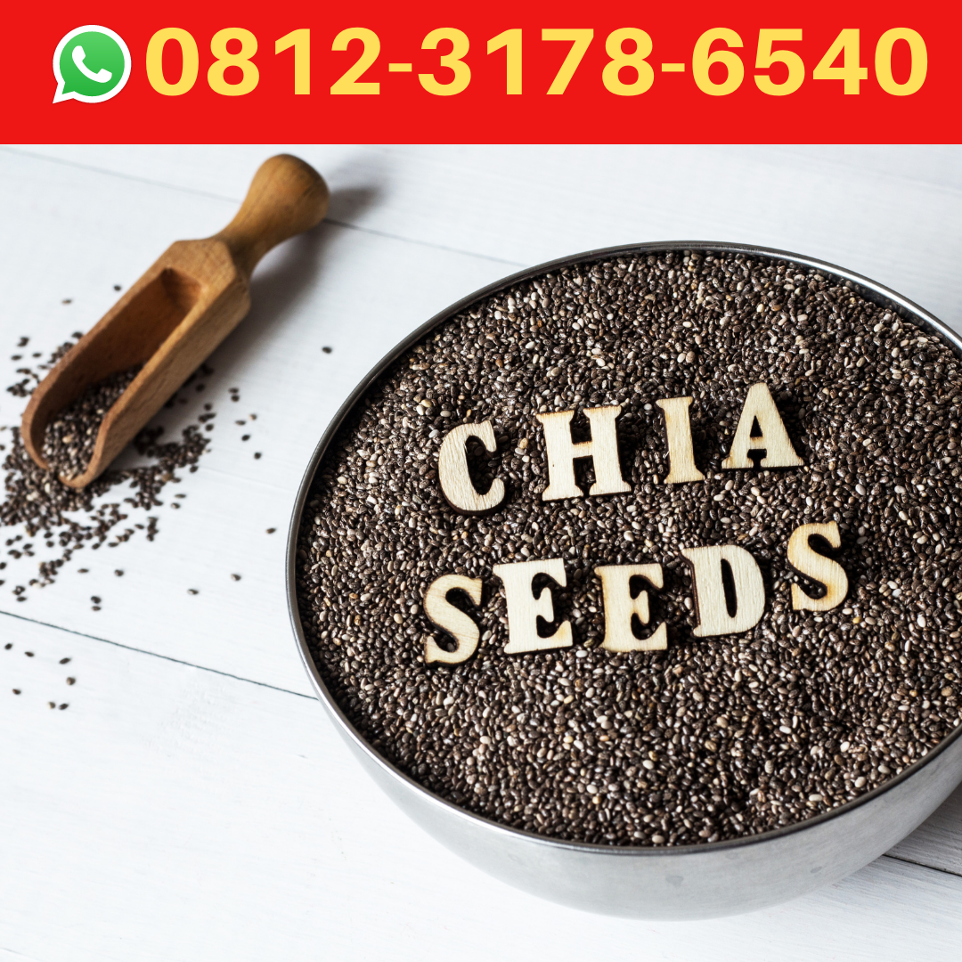 081231786540, Chia seed untuk diet Jual Chia Seed Surabaya Medium