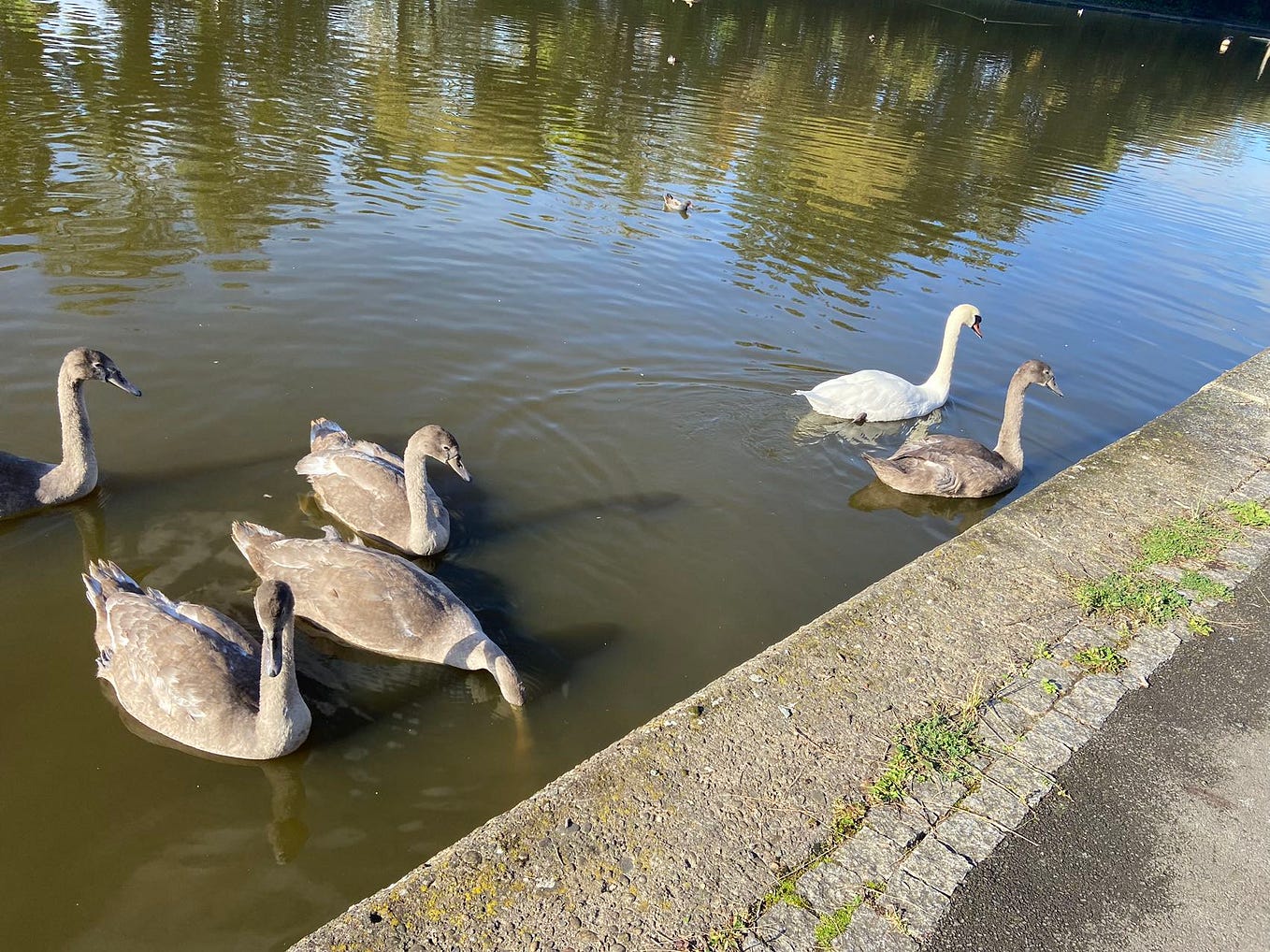 Chapter 1 The meaning of miss— — Artificial intelligence by Cat star