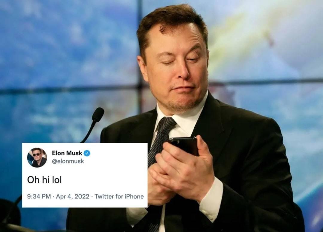 Twitter rose to 26% here’s why? Elon is also a member of board of ...