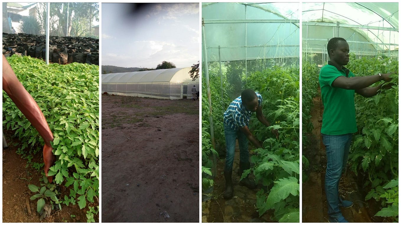 Join us for your growth in Kenya through farming. by