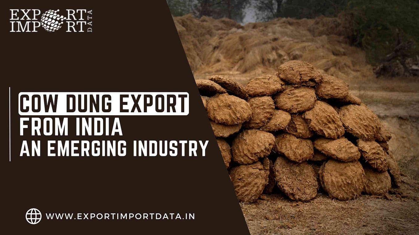 How Does Mango Export from India Operate? by Export Import Data Aug