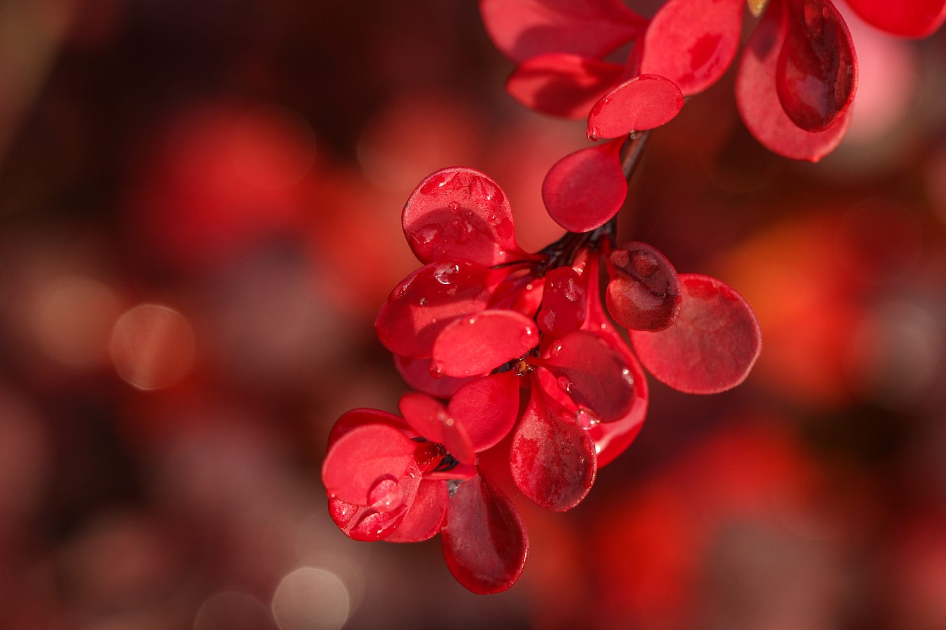 Science Blogging 101. Wondering how to write a science blog… | by Sarah ...