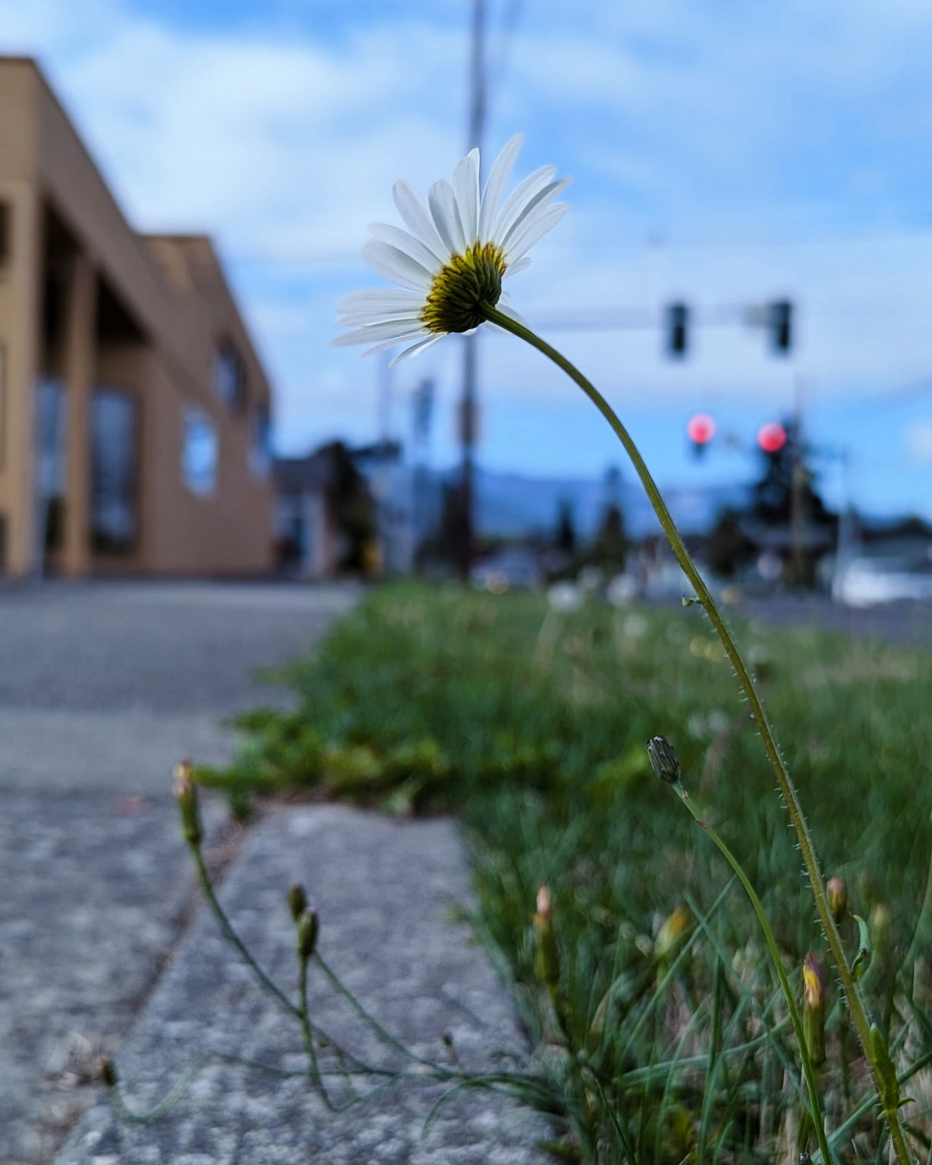 right-behind-time-like-a-leaf-literature-medium