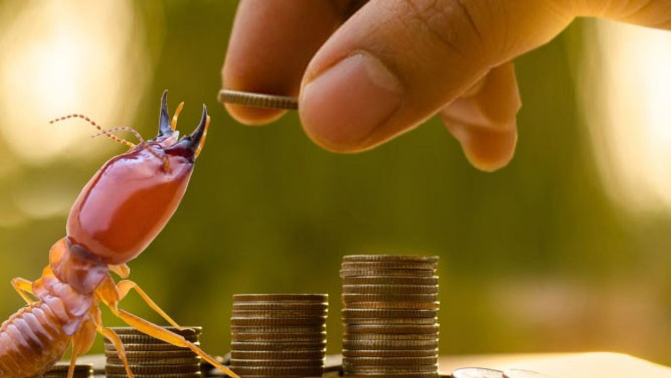 How Much Does Pest Control Cost in 2024? by Nikk Roddy Medium