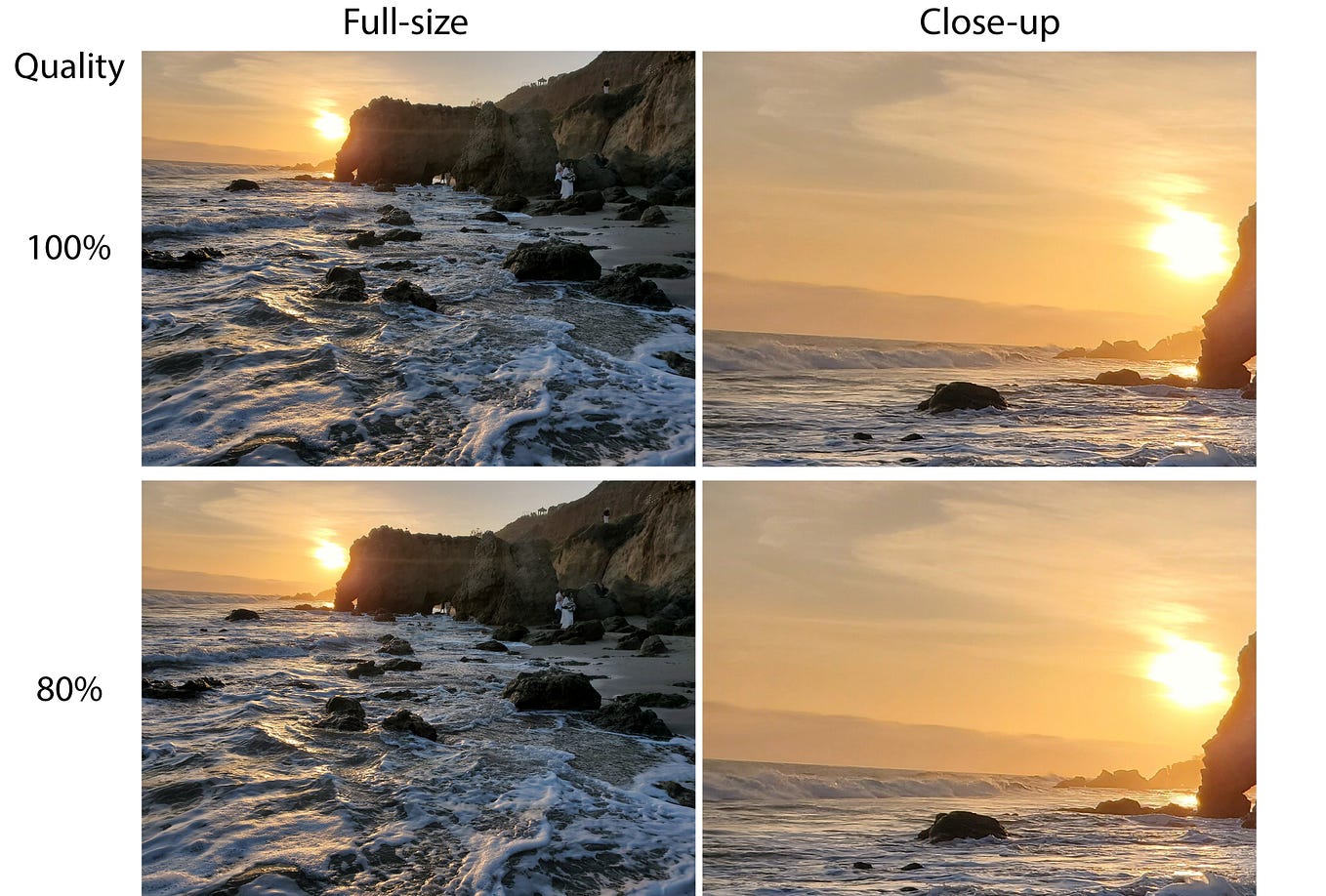 The Different Image Formats and When to Use Them | by Leina'ala Voss ...
